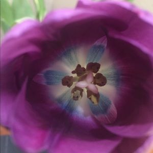 Meet your Posher, Ladan